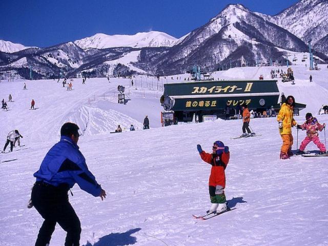 Lodge Shosen Otari Kültér fotó